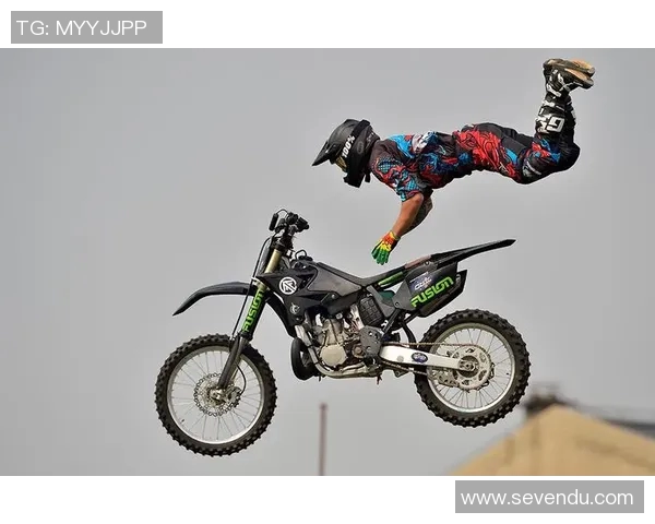 上海极限运动队的成功运营模式与市场潜力深度解析