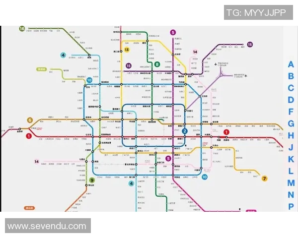 深圳排球队与北京排球队的较量分析与战术解读